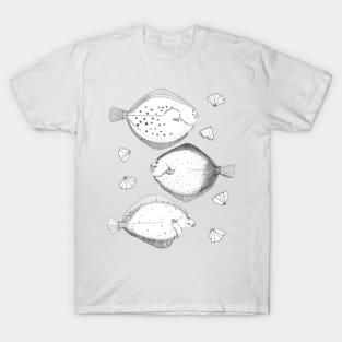 3 flatfish T-Shirt